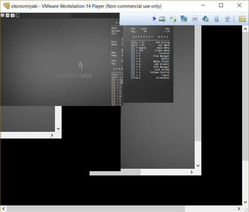 BunsenLabs VM looking glitchy in VMWare